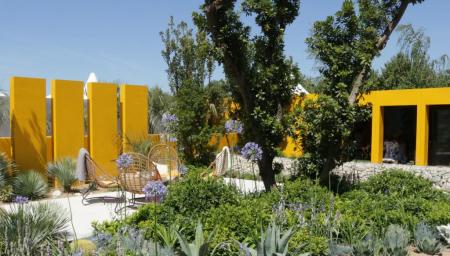 RHS Hampton Court 2018 - Santa Rita 'Living La Vida 120' Garden RHS Hampton Court 2018 - Santa Rita 'Living La Vida 120' Garden